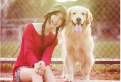 狗狗這樣看著你，表示它有話給你說