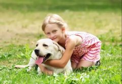 養(yǎng)狗一陣子，狗記一輩子