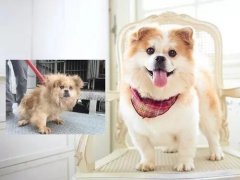 沒有誰，天生丑陋。