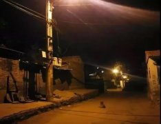 記憶中的老街巷口，有沒有一條等你回家的狗？